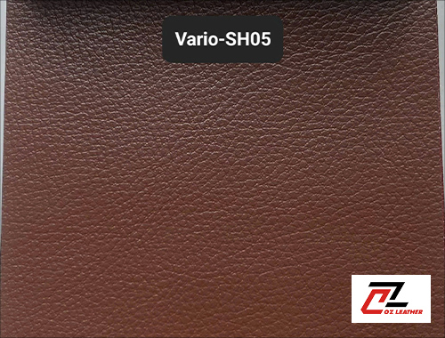 Da Vario